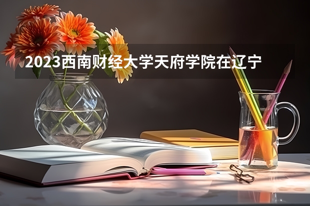 2023西南财经大学天府学院在辽宁招生多少人