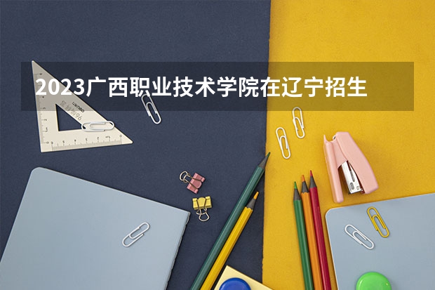 2023广西职业技术学院在辽宁招生多少人