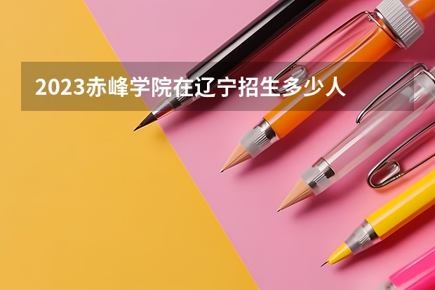 2023赤峰学院在辽宁招生多少人