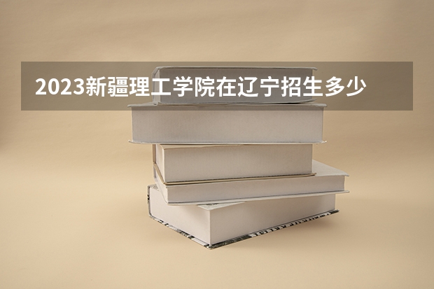 2023新疆理工学院在辽宁招生多少人