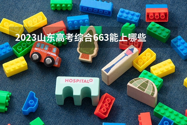 2023山东高考综合663能上哪些大学 