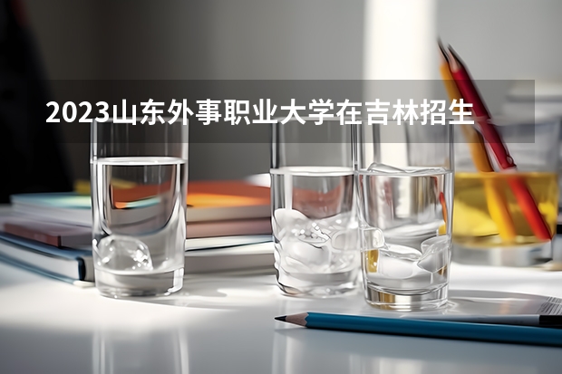 2023山东外事职业大学在吉林招生多少人