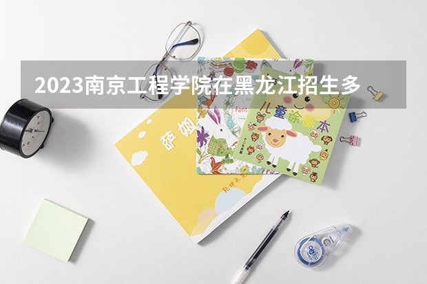 2023南京工程学院在黑龙江招生多少人