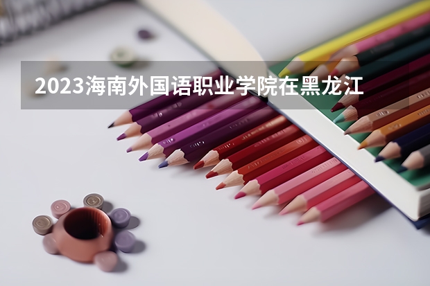 2023海南外国语职业学院在黑龙江招生多少人