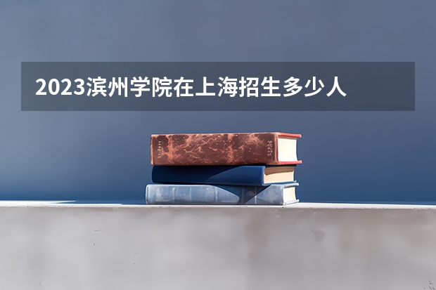 2023滨州学院在上海招生多少人