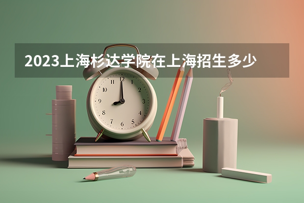 2023上海杉达学院在上海招生多少人