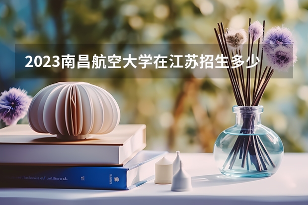 2023南昌航空大学在江苏招生多少人