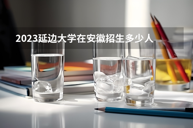 2023延边大学在安徽招生多少人