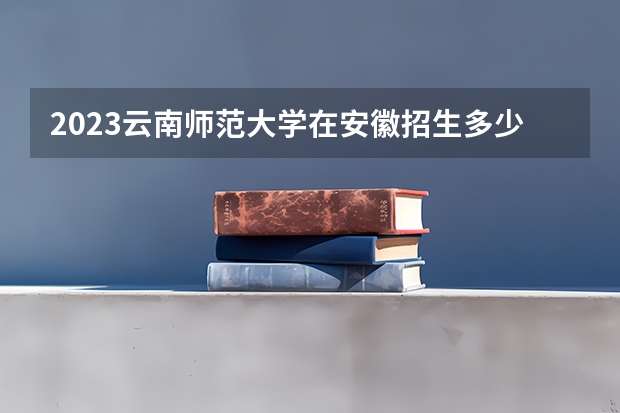 2023云南师范大学在安徽招生多少人
