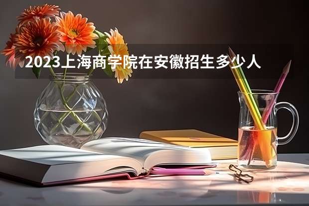 2023上海商学院在安徽招生多少人
