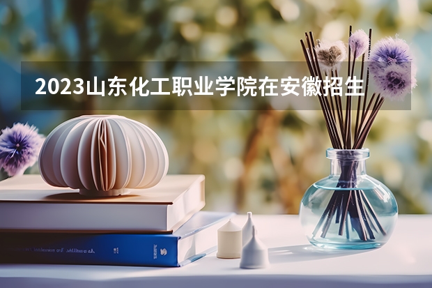 2023山东化工职业学院在安徽招生多少人