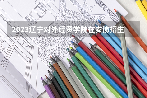 2023辽宁对外经贸学院在安徽招生多少人
