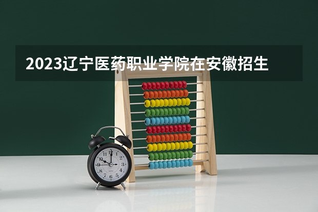2023辽宁医药职业学院在安徽招生多少人