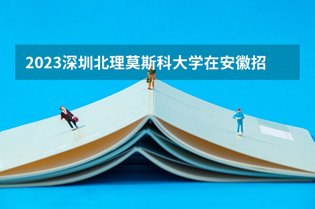 2023深圳北理莫斯科大学在安徽招生多少人