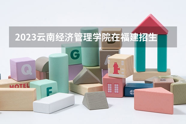 2023云南经济管理学院在福建招生多少人