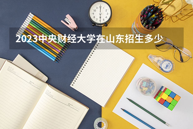 2023中央财经大学在山东招生多少人