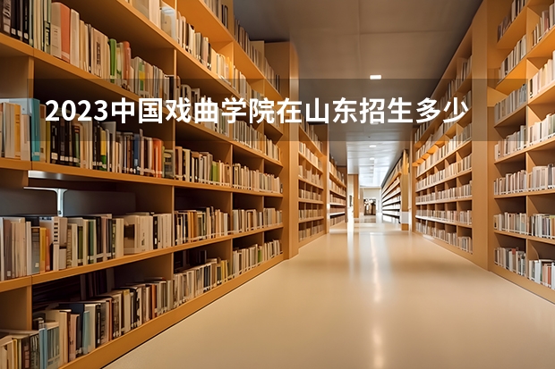 2023中国戏曲学院在山东招生多少人