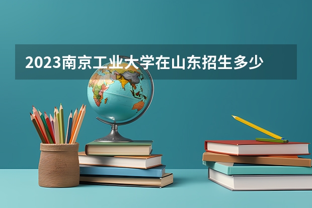 2023南京工业大学在山东招生多少人