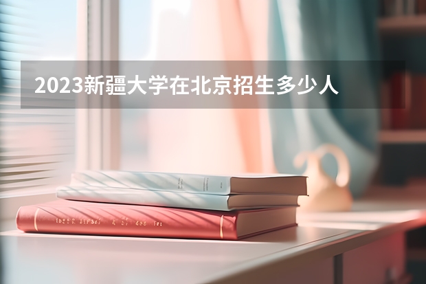 2023新疆大学在北京招生多少人