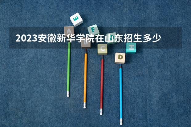 2023安徽新华学院在山东招生多少人