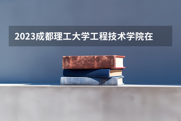 2023成都理工大学工程技术学院在山东招生多少人