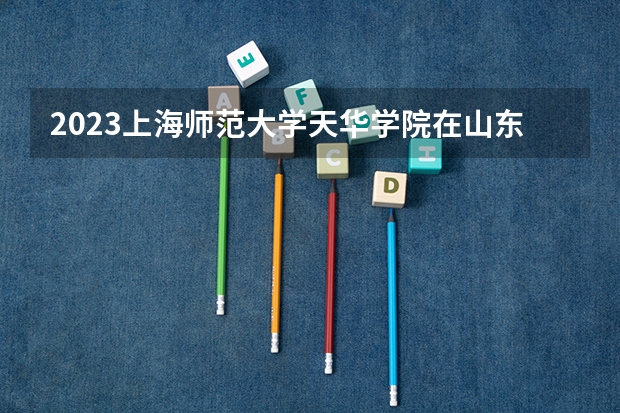 2023上海师范大学天华学院在山东招生多少人