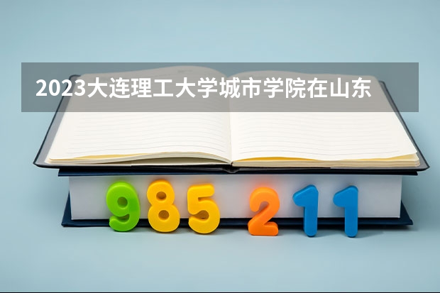 2023大连理工大学城市学院在山东招生多少人