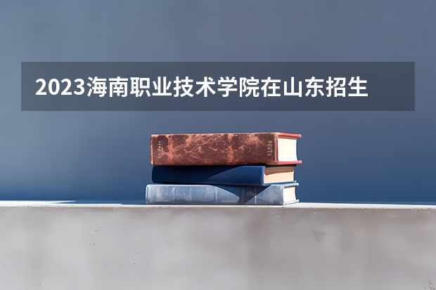 2023海南职业技术学院在山东招生多少人