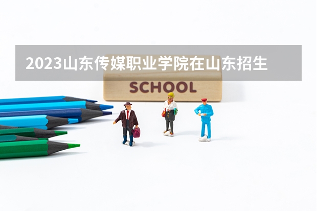 2023山东传媒职业学院在山东招生多少人
