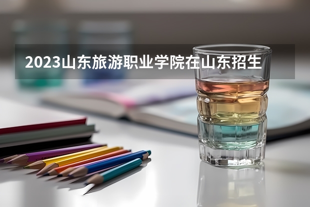 2023山东旅游职业学院在山东招生多少人