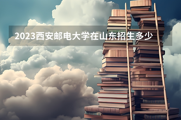 2023西安邮电大学在山东招生多少人