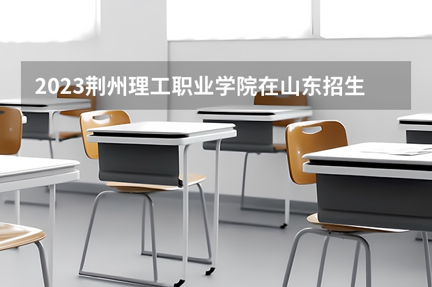 2023荆州理工职业学院在山东招生多少人