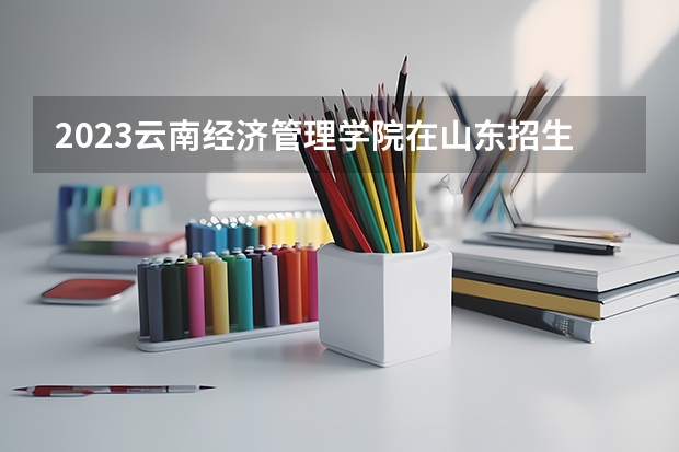 2023云南经济管理学院在山东招生多少人