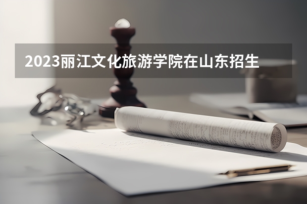2023丽江文化旅游学院在山东招生多少人
