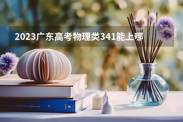 2023广东高考物理类341能上哪些大学 