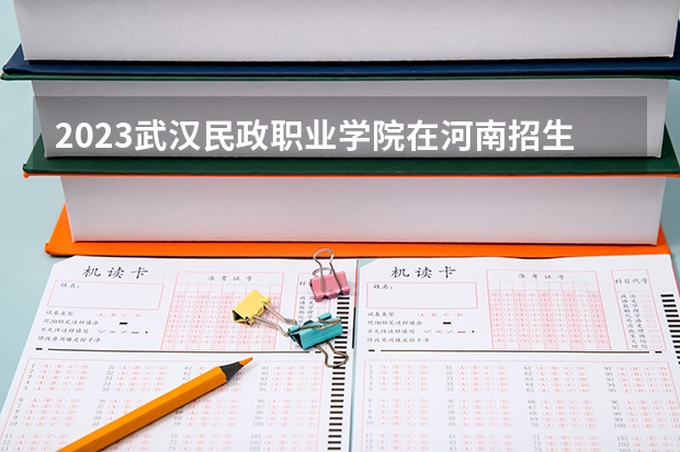 2023武汉民政职业学院在河南招生多少人