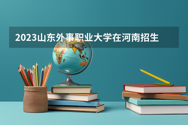 2023山东外事职业大学在河南招生多少人