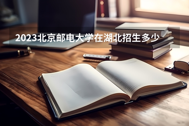 2023北京邮电大学在湖北招生多少人