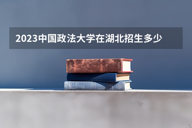 2023中国政法大学在湖北招生多少人
