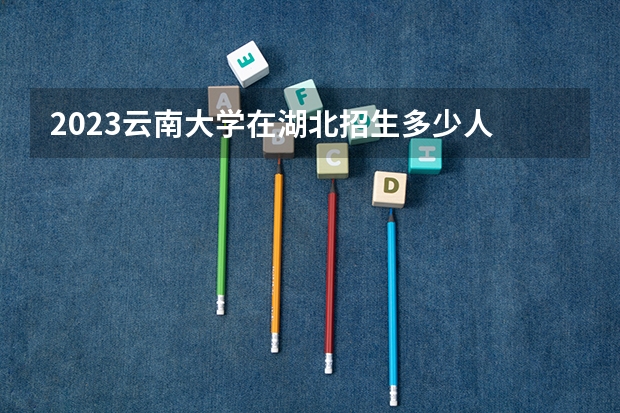 2023云南大学在湖北招生多少人