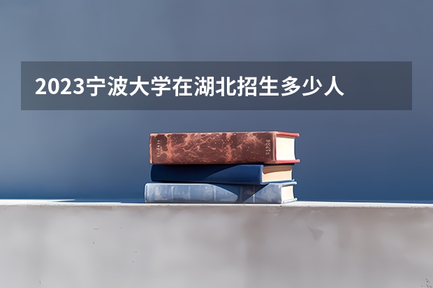 2023宁波大学在湖北招生多少人