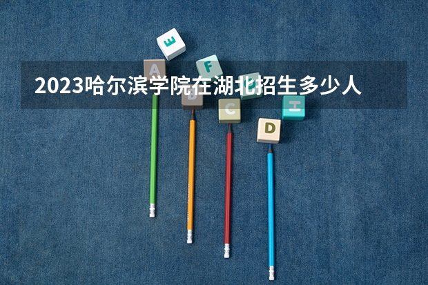 2023哈尔滨学院在湖北招生多少人