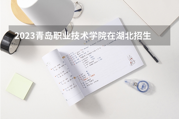 2023青岛职业技术学院在湖北招生多少人