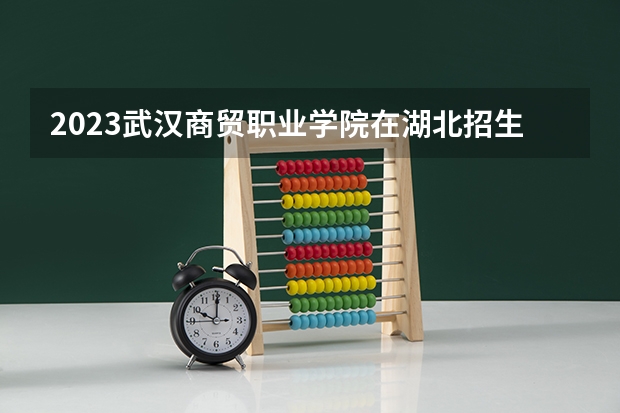 2023武汉商贸职业学院在湖北招生多少人