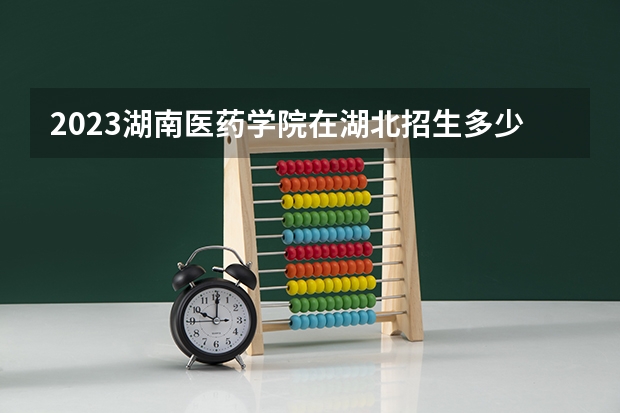 2023湖南医药学院在湖北招生多少人