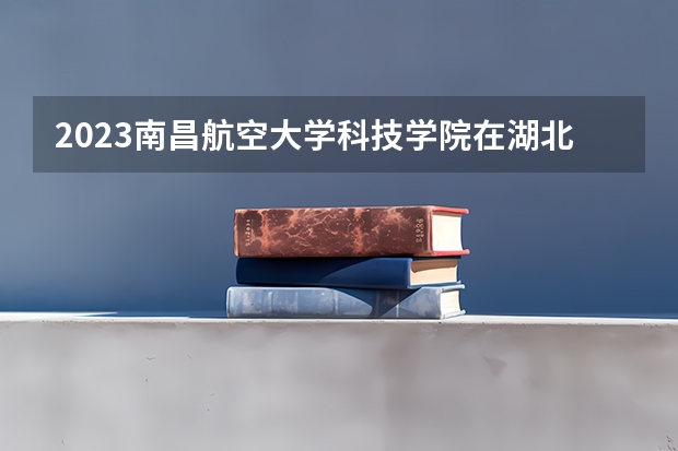 2023南昌航空大学科技学院在湖北招生多少人