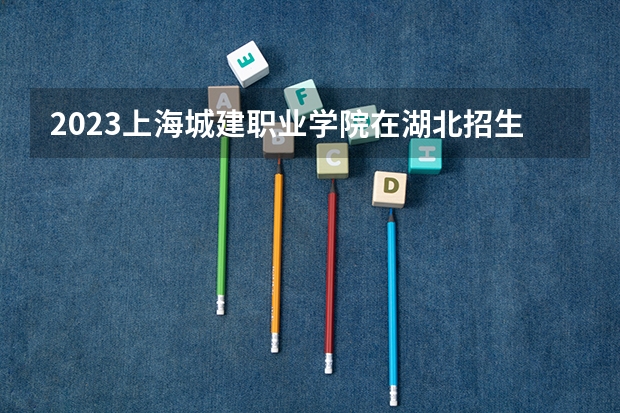 2023上海城建职业学院在湖北招生多少人
