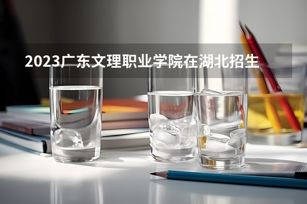 2023广东文理职业学院在湖北招生多少人