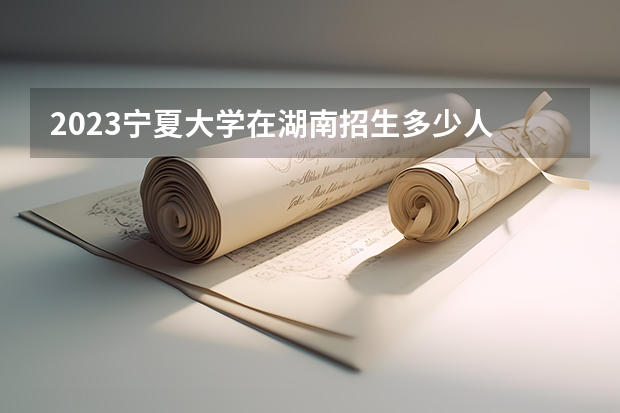 2023宁夏大学在湖南招生多少人