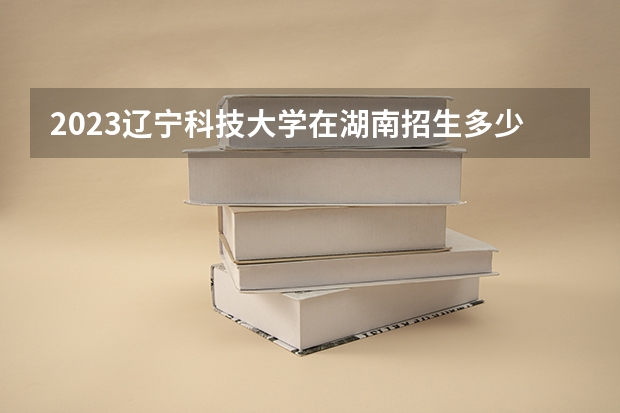 2023辽宁科技大学在湖南招生多少人